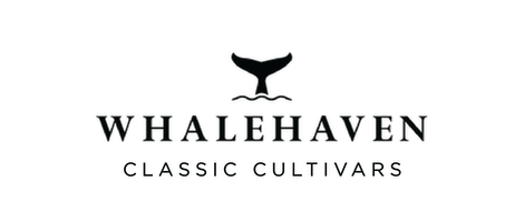Whalehaven Classic Cultivar Logo